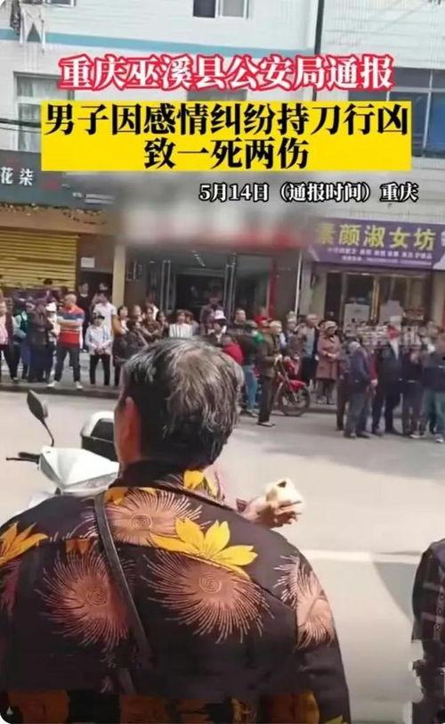 重庆巫溪爆料案件最新,真相渐明，疑云散去，正义终将抵达